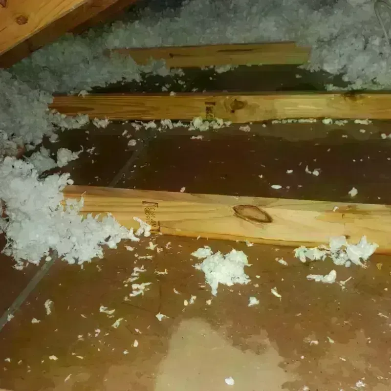 Attic Water Damage in Pewee Valley, KY