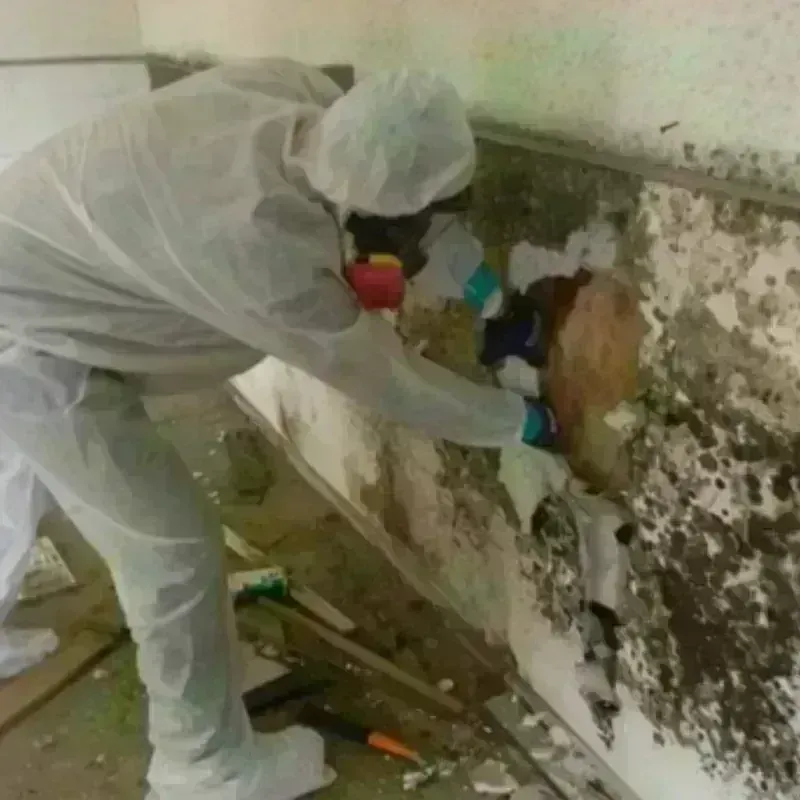 Mold Remediation and Removal in Pewee Valley, KY